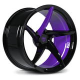 Gloss Black with Grape Purple