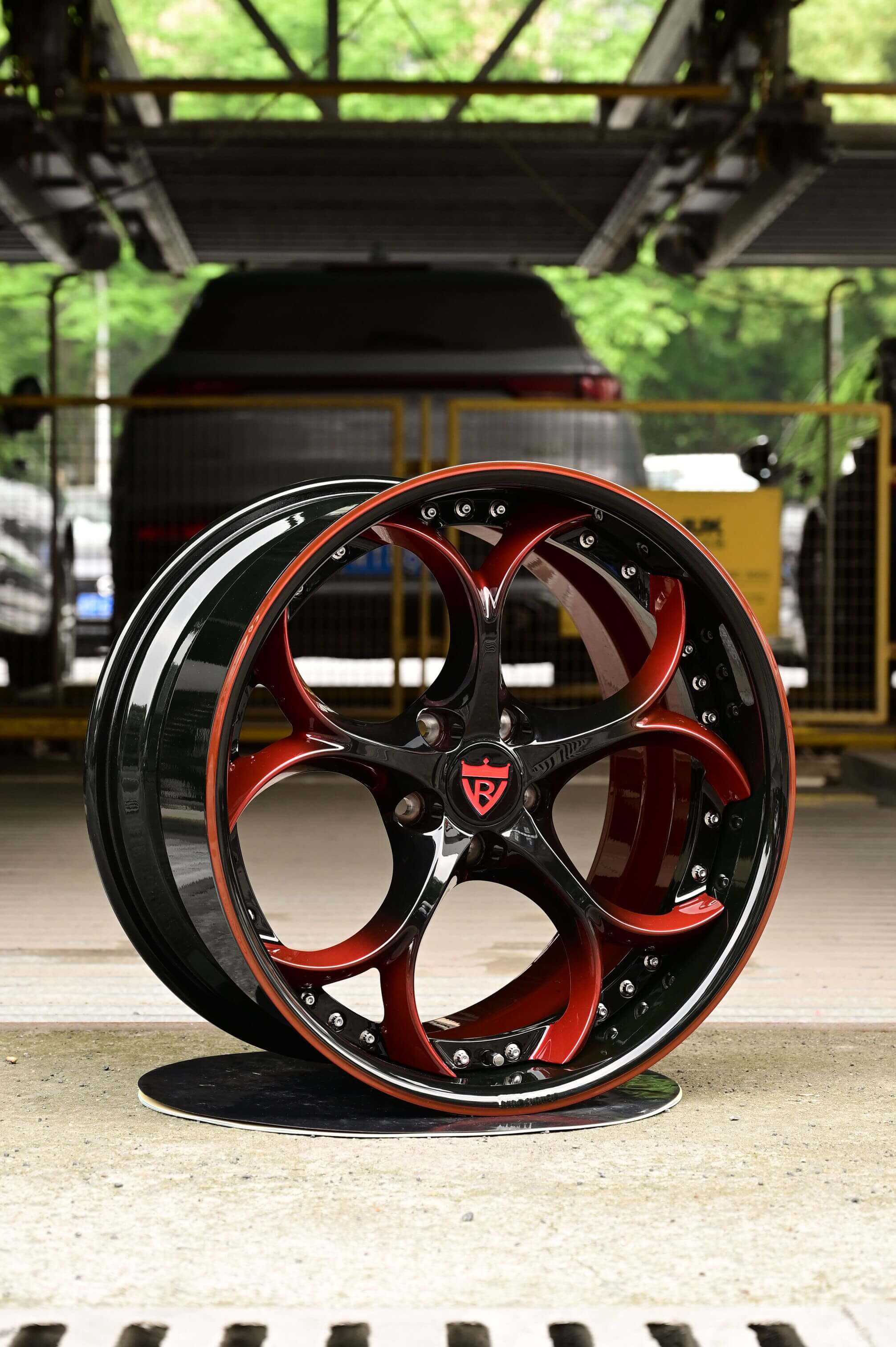 Custom 19