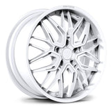 RV-T081  CUSTOM FORGED 2-PIECE WHEELS