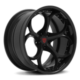 RV-DS016: CUSTOM 2 PIECE FORGED BLACK WHEELS